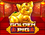 Golden Pig